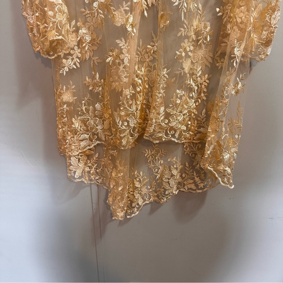 Peachy Lace Sheer Floral Long Sleeve High Low Top Size XL - Picture 3 of 7